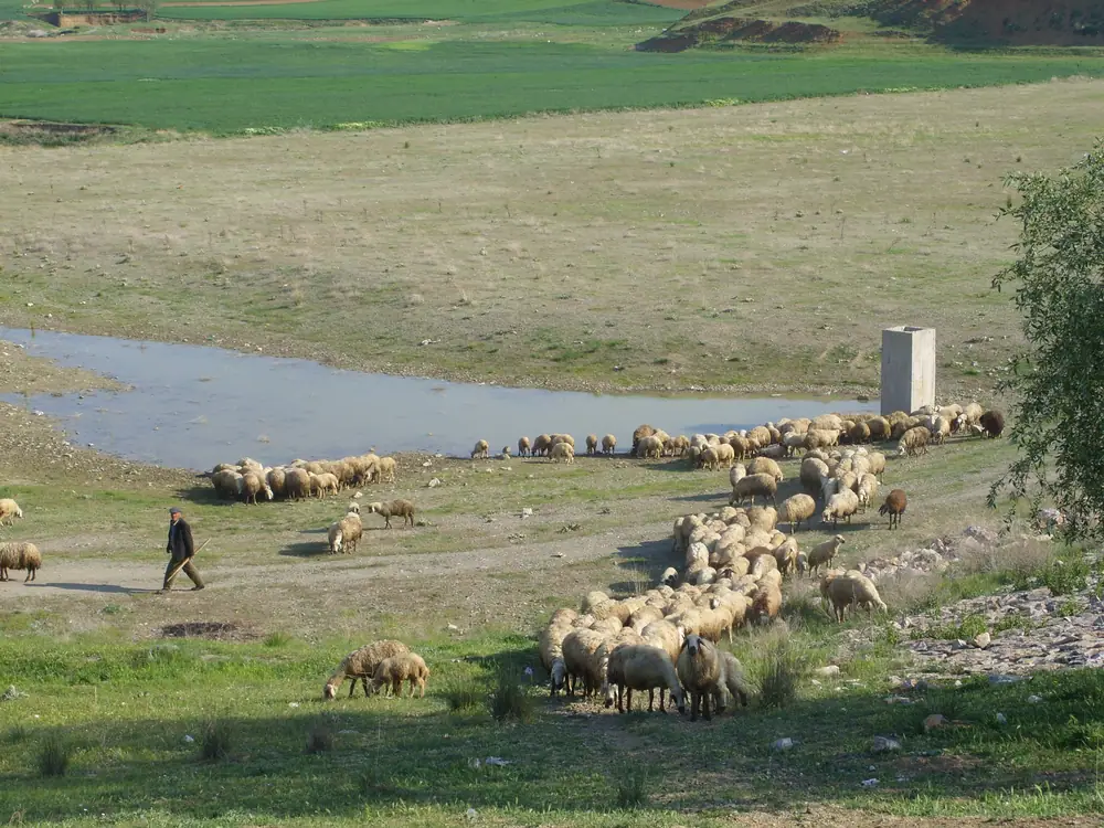 Ayantaş Kızık Göleti Hakkında Konuştu 1