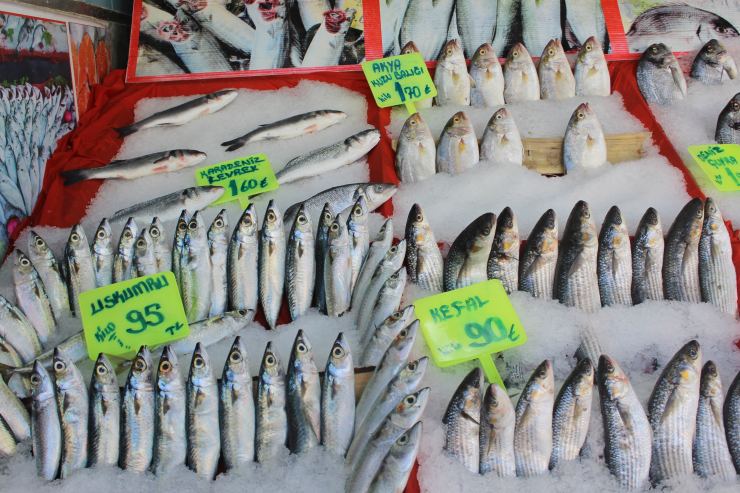 Balık sezonu açıldı: Mezgit, istavrit ve hamsi bol ve ekonomik 2