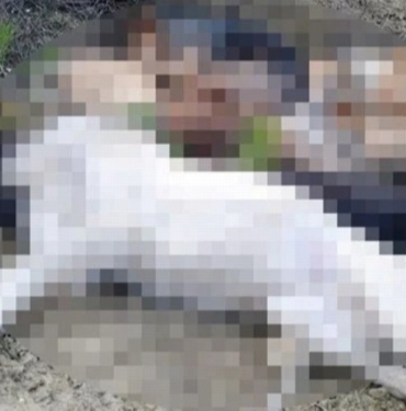 Bilecik Pazaryeri'nde şüpheli köpek ölümlerine 4 gözaltı