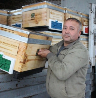 Antalya Kemer’de arı üreticilerine kovan desteği