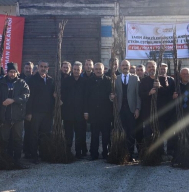 Bilecik Gölpazarı'nda hibeli ceviz fidanları dağıtıldı