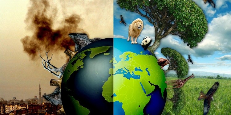TEMA'dan geçen yıla 'çevresel' bakış! 2023'ü öne çıkan iyi ve kötü çevre olayları...