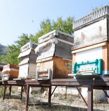 Bursa İnegöl arıcılık ve balda da marka olacak..