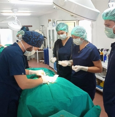 Geleceğin veteriner hekimlerine Osmangazi'de eğitim