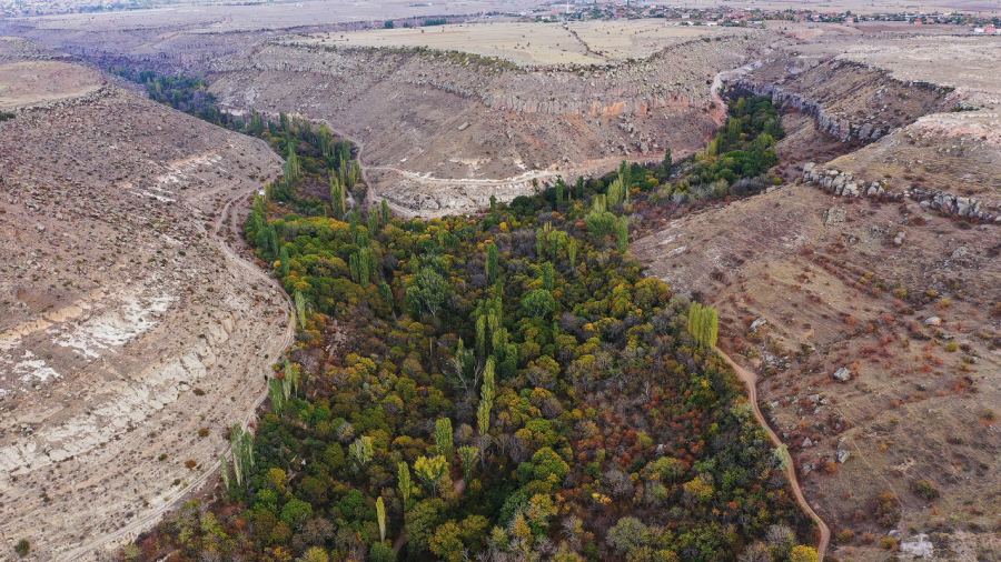 Başkan Büyükkılıç'tan Koramaz Vadisi'ne Davet 2