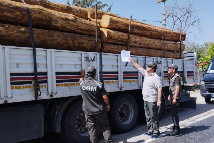 Orman Bölge Müdürlükleri Orman Emvali Nakliyatında Kontrolleri Arttırdı