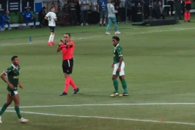 Angel-Arteaga-Endrick-Palmeiras-Liverpool-abr24