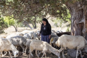 hadi-gel-koyumuze-destek-verelim
