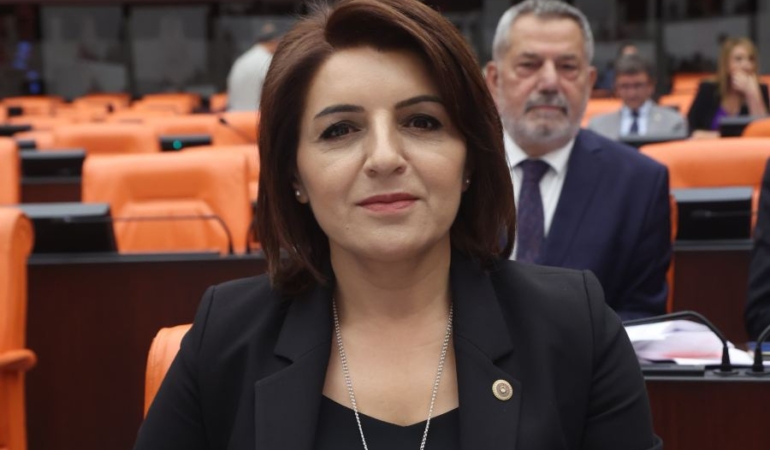 gülcan kış tbmm foto