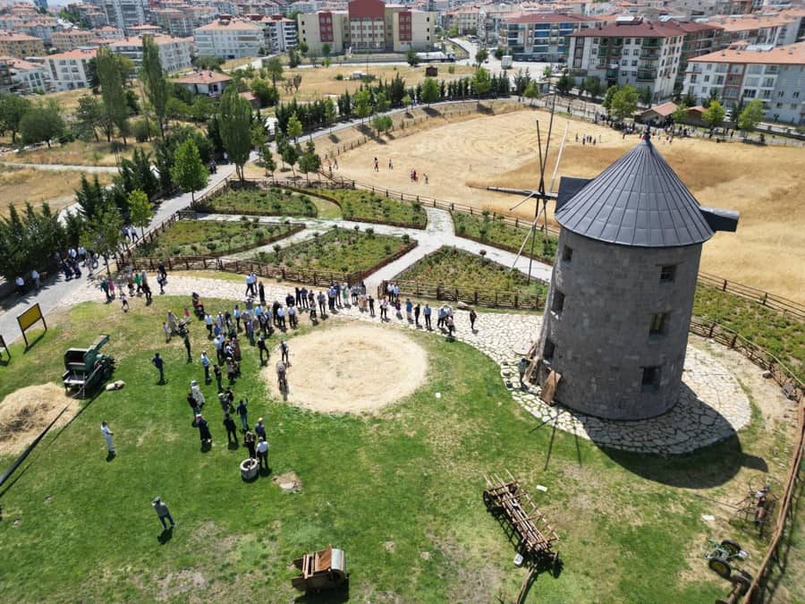 Altınköy'de "Geleneksel Hasat Festivali" 1