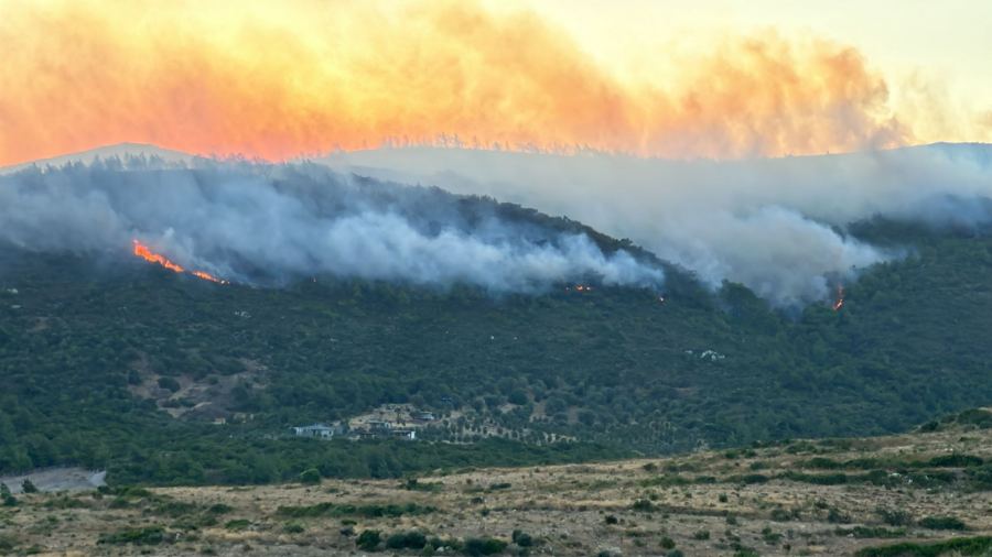 İzmir'de Yangın Alarmı: 90 Farklı Vakaya Müdahale Edildi 1