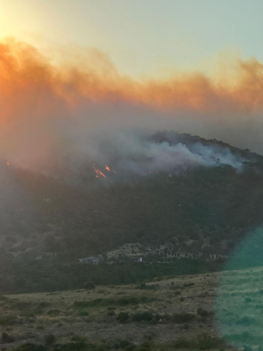 İzmir'de Yangın Alarmı: 90 Farklı Vakaya Müdahale Edildi 2