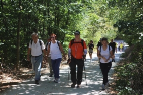 MYS¦-A YOLLARI (3)