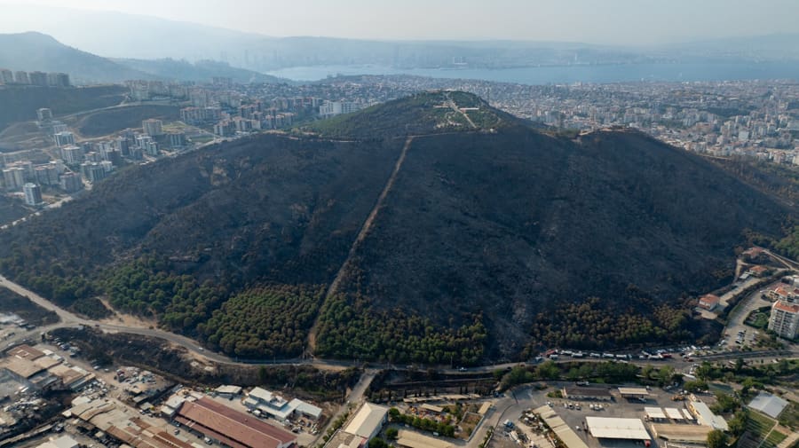 İzmir’deki yangında 4 bin 312 hektar kül oldu 2