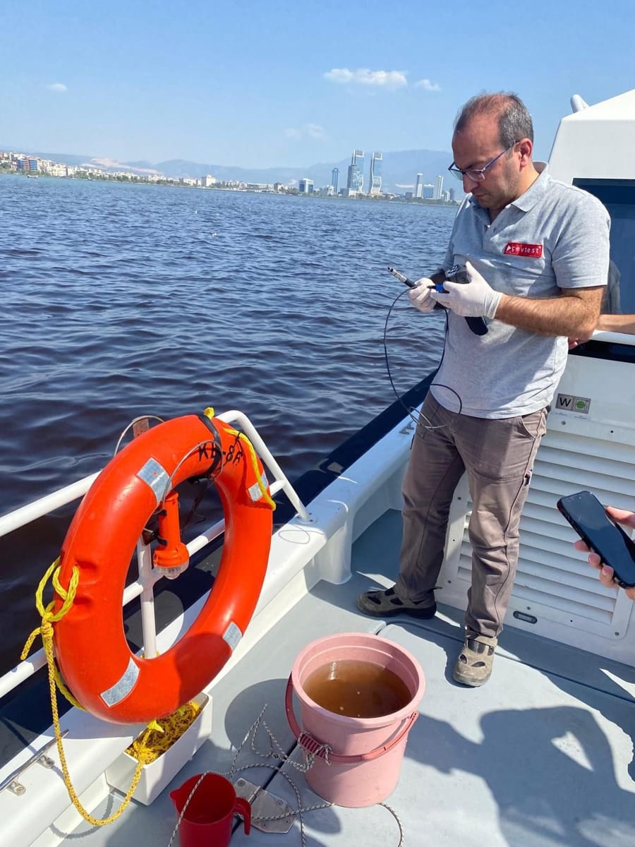 İzmir Körfezi'nde Balık Ölümleri! Bakanlık İnceleme Başlattı 1