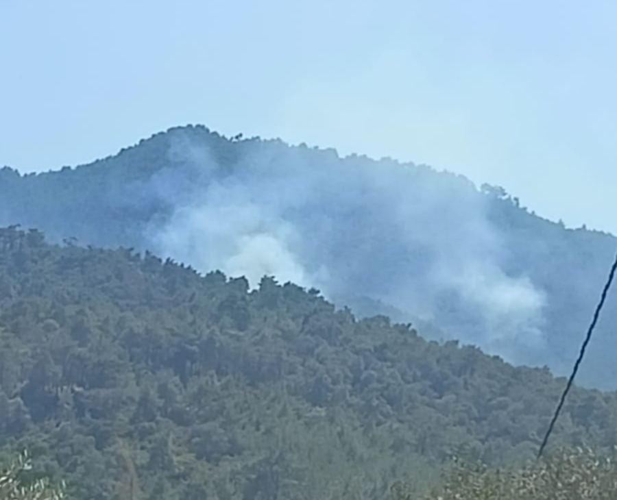 İzmir Kemalpaşa'da Yangın! İtfaiye Ekipleri Müdahale Ediyor 2