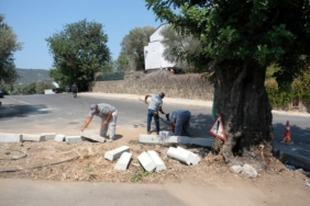 temizlik_seferberligi_torbada_devam_etti (5)