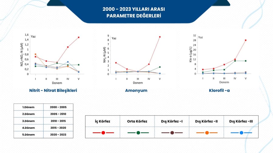 İzmir’de Balık Ölümleri: Çözümü hep beraber sağlayacağız 1