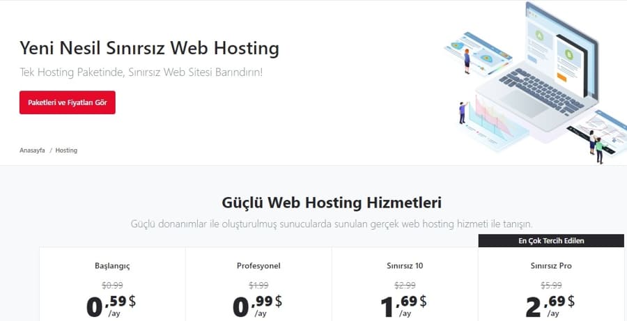 444Host: Profesyonel Hosting ve Web Çözümleri 1