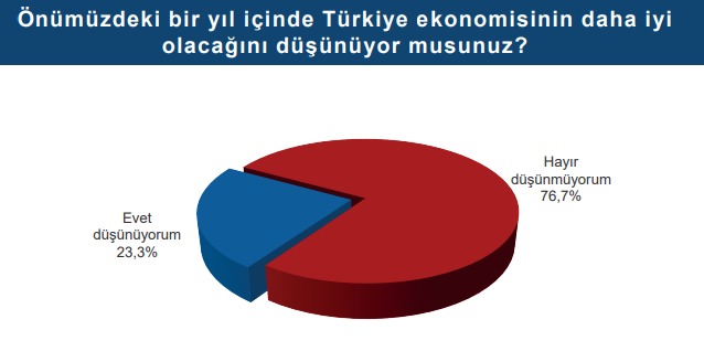 Toplum 2024 Raporu: Türkiye'nin Ortak Paydası Atatürk, En Büyük Sorunu Ekonomi 4