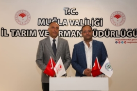 Muğla’da Hayvancılığa Destek: ‘Anneleri Aşılat, Buzağını Yaşat’ Projesi Hayata Geçiyor 9 Büyükşehir 10 Bin Aşı İle Üreticiye Destek Oluyor (2)