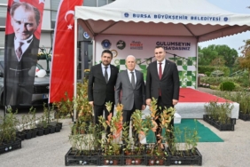 bursa fidan desteği