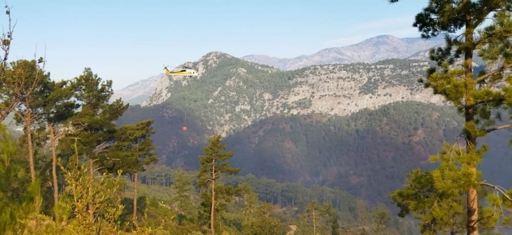 Muğla, Dalaman'da Yangın! Rüzgar Müdahaleyi Zorlaştırıyor 1