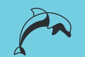 1731580028_bff_logo