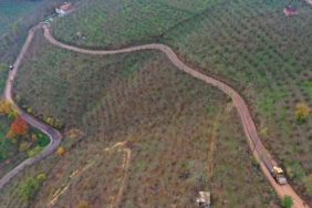 ordu