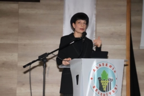 1732627290_manisa_1