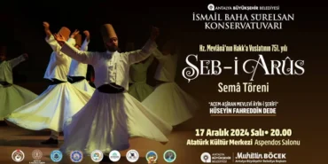 şeb-i arus