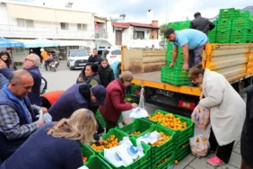 bodrum_belediyesi_bodrum_mandalin_festivaline_yoğun_ilgi (1)