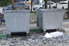 Şehir barbarı bozuk balıkları yola döktü (1)