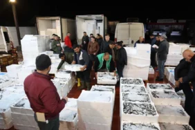 Düden Balık Çarşısı4