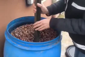 Adsız