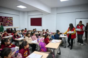 mersin süt