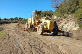 FOTOĞRAF (3)
