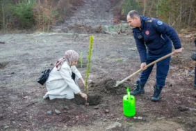 bursa itfaiyeci fidan