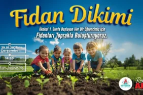nevşehir fidan dikimi