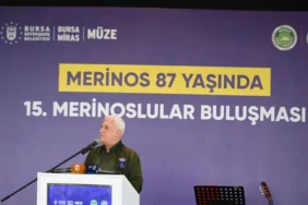 bursa merinos