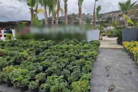 bodrum_belediyesi_zabita_ekiplerinden_sektör_bazli_denetimler (2)