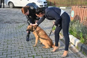 habermedyafotograf_44528_be8b7565a5fd46ee8db0545aab5a7baf