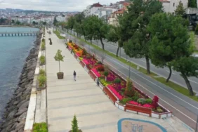 ordu-da-7-milyona-yakin-agac-fidan-ve-cicek-dikildi_3535