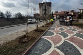 Park Bahçeler (2)