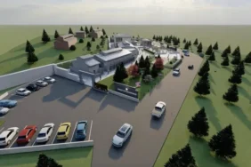 Gemlik Belediyesi Patili Dostlara Sahip Çıkıyor (4)