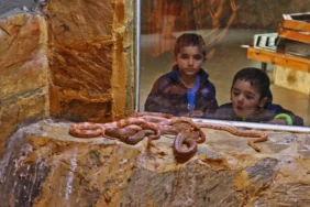 Doğal Yaşam Parkı’nda soğuk havaya karşı ısıtıcılı yuvalar   (10)