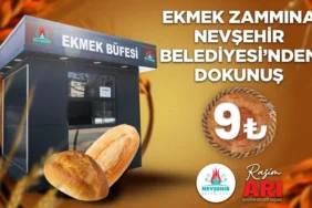 NEV BEL 1