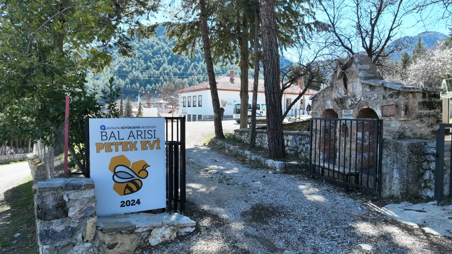 Bal Arısı Petek Evi Açılışa Hazırlanıyor 1 Bal Arısı Petek Evi Açılışa Hazırlanıyor 1