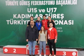 liva nur çelik