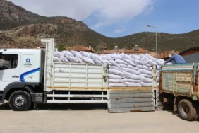 elmalı yuva yem dağıtımı (3)